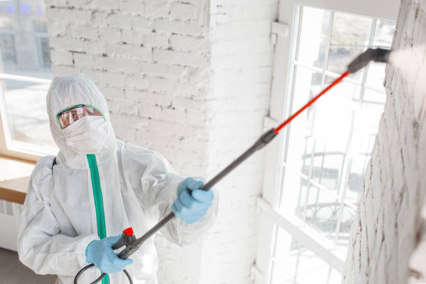 Mold Remediation for Rental Properties in Berwyn, PA
