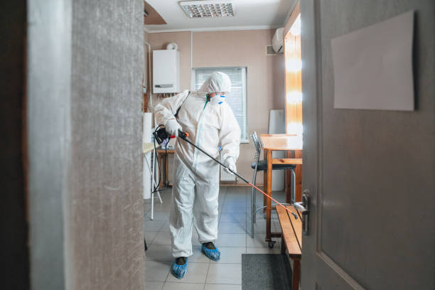 Best Air Quality Testing for Mold Spores  in Berwyn, PA