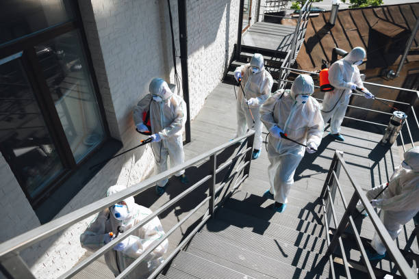 Best Mold Documentation for Insurance Claims  in Berwyn, PA