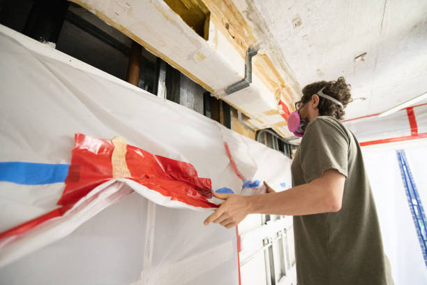 Mold Odor Removal Services in Berwyn, PA