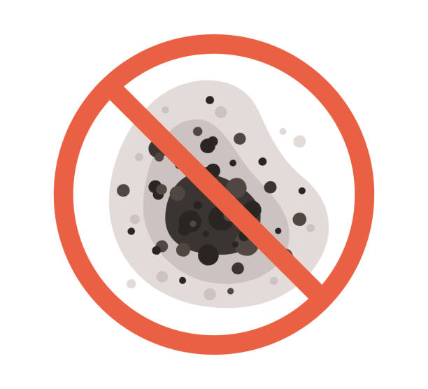 Trusted Berwyn, PA Mold Removal Experts
