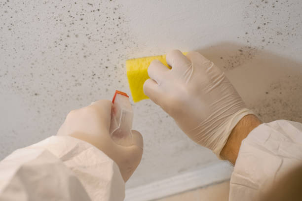 Best Post-Remediation Verification Testing  in Berwyn, PA
