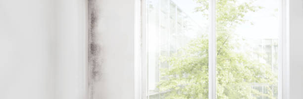 Best Indoor Air Quality Assessment  in Berwyn, PA