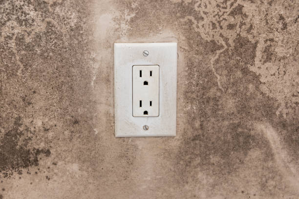 Best Forensic Mold Investigation  in Berwyn, PA